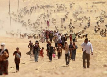KCDK-E: Ganî statuyê Şengalî bêro sinasnayîş