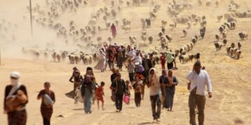 KCDK-E: Ganî statuyê Şengalî bêro sinasnayîş