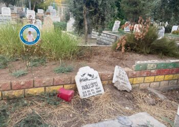 Malbat nikarin gorên zarokên xwe nû bikin