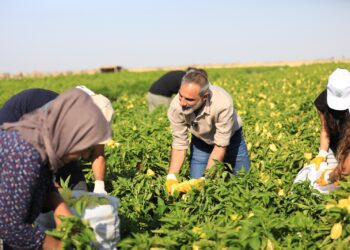 Hevşaredar Cengîz Dundar serdana karkeran kir