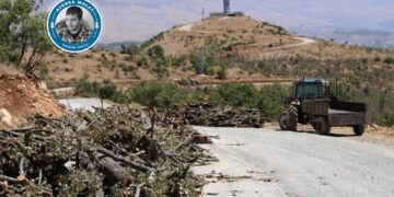 Ajansê ma xo resna cayê talankerdena daristanê Omyanisî