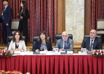 Koçyîgît: Me dît ku siyaseta demokratîk çiqas girîng û watedar e
