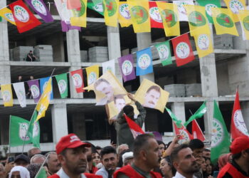 Mîtînga Wanê: Divê azadiya fîzîkî ya birêz Ocalan pêk were
