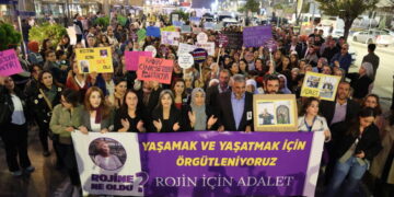 Li Wanê ji bo Rojîn Kabaîş meşiyan: Çi bi serê Rojîn hat?
