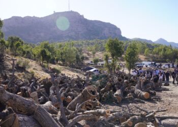 Li Bestayê nobeta li hember talana xwezayê destpê kir