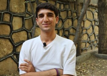 Ciwan sibê li Wanê şahiyê li dar dixin
