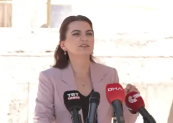 DEM Partî: Komîsyon ganî rew şêro Îmraliyî