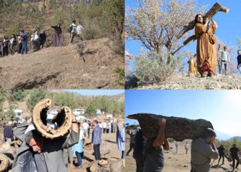 Darên li Bestayê hatine birîn dîsa şandin nava xwezayê
