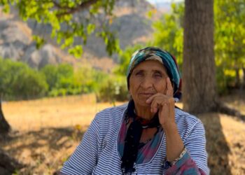 Terteleyê 38î ma rê şûare ya
