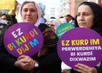 ‘Ganî heqê perwerdeyê bi ziwanê dayîke bêro dayîş’