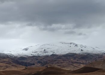 Berfa ewilî li Feraşînê bariya