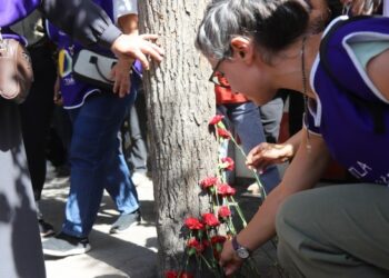 Meşvanên hêviyê Hakî Karer li cihê lê hat qetilkirin bibîr anîn