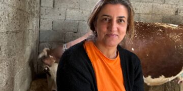 ‘Ez gurîya mi beşe kerd, eke cinî biwazê, beşe kenê’