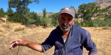 Hesen Tunç: Wa aştî bêra, ma şîme dewa xo