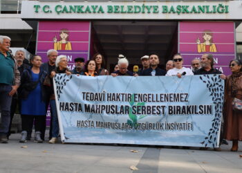 Girtiyên nexweş 30 sal in nayê berdan