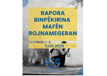 DFGê rapora meha Îlonê eşkere kir