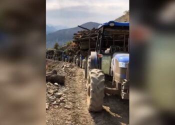 CPT: Tirkiye daristanên Zap û Avaşîn dibire