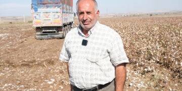 Cotkarên pembû ji bihayê pembû bi gazinc in