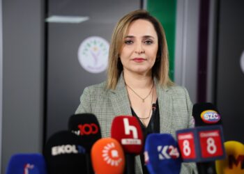 Ayşegul Dogan: Divê qanûnên pêwîst derkevin û rêya siyaseta demokratîk vebe
