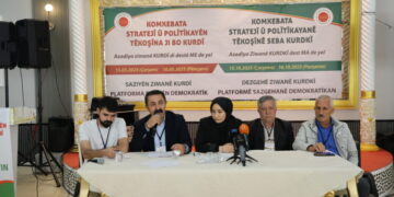 Komxebata Kurdkî roja dîyine de domyena: Ziwanê domanan ziwanê ameyoxî yo
