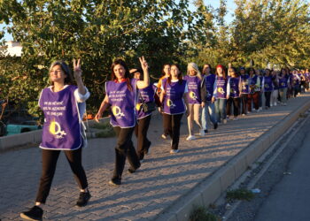 Şedal: Ji bo ku pêvajo bi rê ve biçe divê birêz Ocalan azad bibe