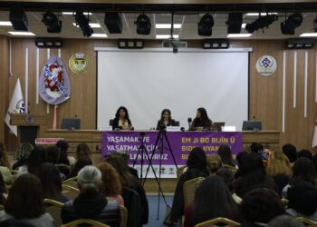 Halîde Turkoglû: Divê hemû alî ji bo aştiyê bixebitin