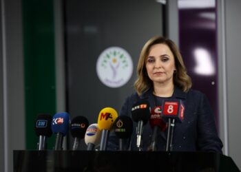 Ayşegul Dogan: Divê çûyina Girava Îmraliyê dereng nekeve