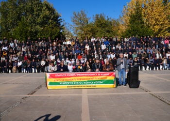 750 saziyan bang li dewletê kir: Divê zimanê Kurdî bi awayekî fermî bê nasîn