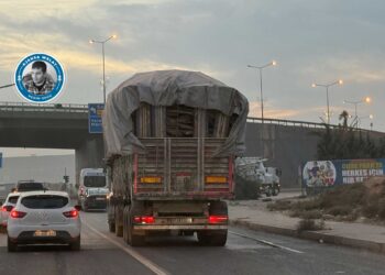 ‘Roja Ronayîşê Daran’ de daran birnenê!