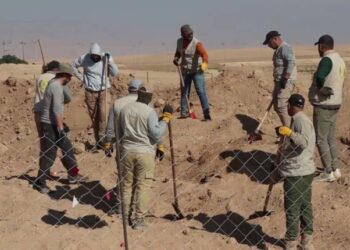 Şengal de 74 mezelê komî ameyê akerdene