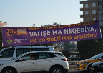 Amed bi alên 25ê Mijdarê hat xemilandin