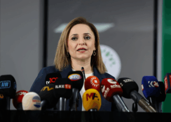 Ayşegul Dogan: Seba tahlîyekerdene şima benda çîyê?