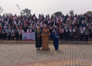 65 saziyên jinan dê li dijî tundiyê têbikoşin