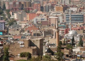 Sêrt de vera madeyê kungkerdişî têkoşîn nîno kerdene