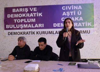 Gulistan Sonuk: Komun û meclis bi qasî av û nan pêwîst e