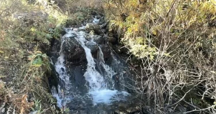 şampaşa