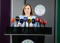 Ayşegul Dogan: Pêvajo tevî her tiştî pêşve diçe