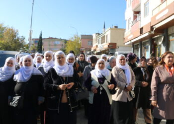 Bi girseyî çûne şîna Çiyager Amed 