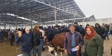 Di bin berfê de xebata mitînga ‘Hêvî û Azadiyê’ tê kirin