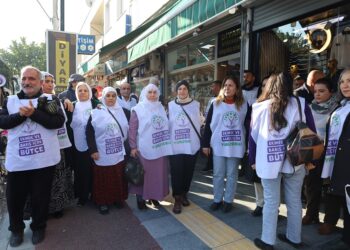Baskê rayşîyayîşî yê Çukurovayî resa Tarsusî