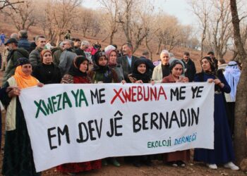 Sê baskên civakê: Ekolojî, azadiya jinan û demokrasî