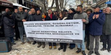 ‘Rojava zereyê Rojhelatê Mîyanênî de çîçege ya’