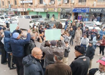 Gelê Siwêdayê piştgirî da berxwedana Rojava