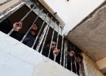 SOHR: Hikûmeta demkî 5 girtî bi îşkenceyê kuşt