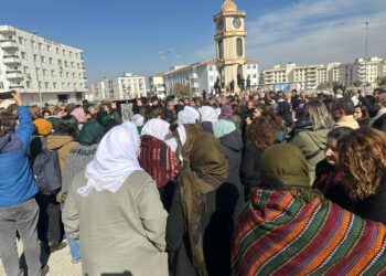 Nisêbîn, Rojava bi tenê nahêle