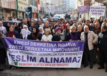 Êrişên çeteyan li Misircê hate şermezarkirin