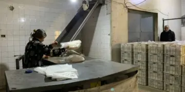 Rojava li ber xwe dide: Li hundir jiyana komînal li derve bexwedana kolektîf