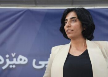 Peyman Viyan: Kurd bi yekîtiyê dikare xwe ji dagirkeriyê biparêze