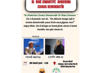 Meclisa ciwanan dê panela ‘Di avakirina civaka demokratîk de rista ciwanan’ pêk bîne