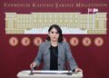 Newroz Uysal Aslan li meclisê bang kir: Ji Kurdî re statu